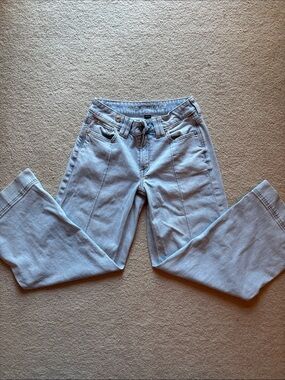 American Eagle Low Rise Baggy Wide Leg